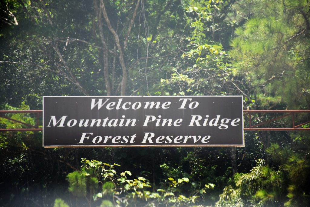 mountain reserve lettering