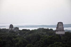 Tikal im Nebel